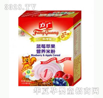 雅布力方广蓝莓苹果营养米粉