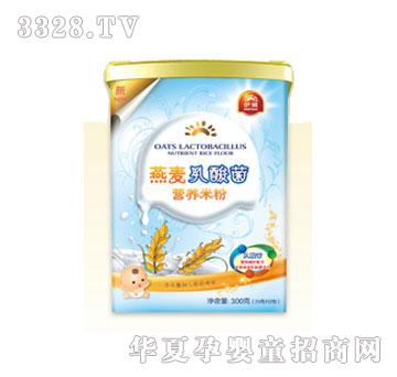 伊威燕麦乳酸菌营养米粉