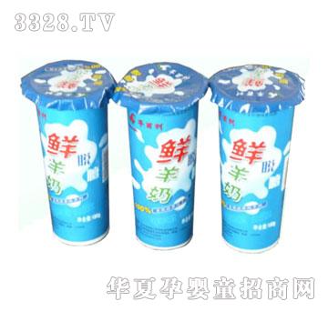 羊百利杯装脱膻鲜羊奶