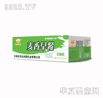 达利园麦香早餐牛奶箱