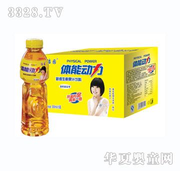浩园体能动力