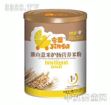 今粟淮山薏米护肠营养米粉1段400g
