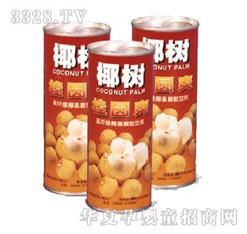 椰树桂圆爽
