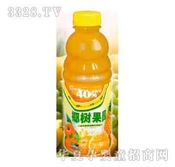 椰树果园