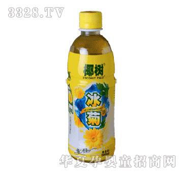椰树冰菊