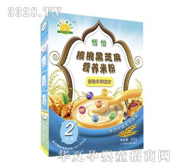 恬怡核桃黑芝麻营养米粉2段