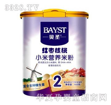 贝圣红枣核桃小米营养米粉