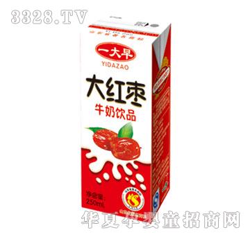 一大早大红枣