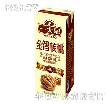 一大早金智核桃