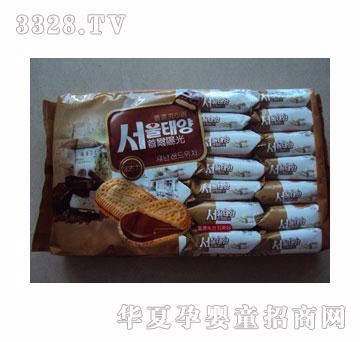 CZAְٸ-ı600g