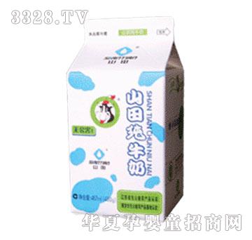 山田屋顶盒纯牛奶（480g）