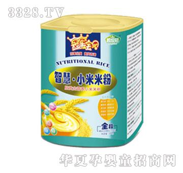 冠军宝贝智慧小米米粉