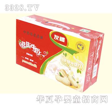 均洋花生牛奶3