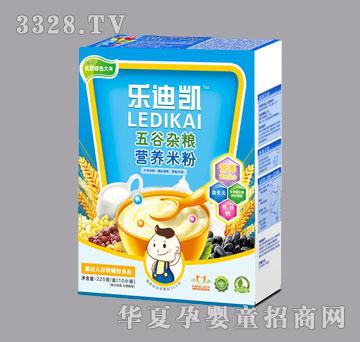 乐迪凯五谷杂粮营养米粉