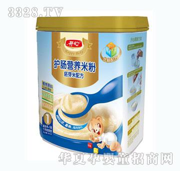 开心护肠胚芽米配方营养米粉1段