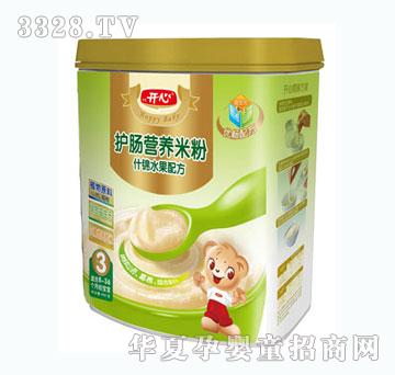 开心护肠什锦水果配方营养米粉3段