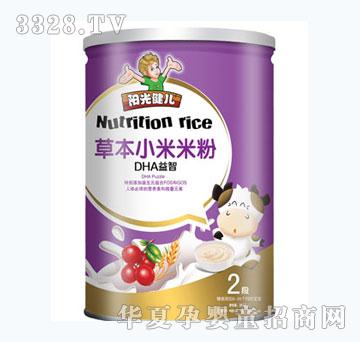 阳光健儿DHA益智草本小米米粉