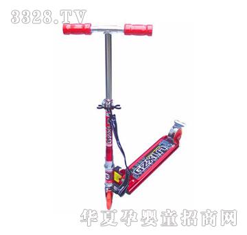 天宏小丽明滑板车2004S