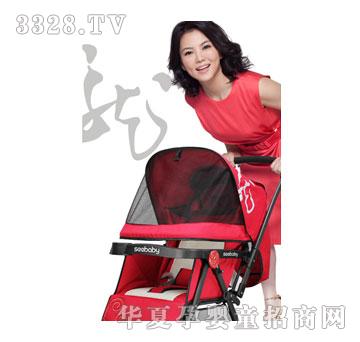 天宏圣得贝推车T11