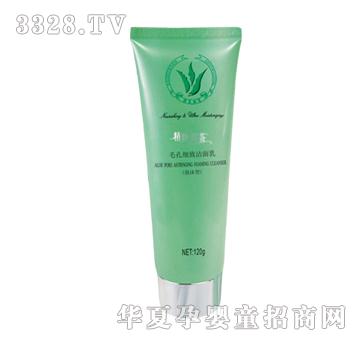 圣安精纯芦荟毛孔细致洁面乳泡沫型120g