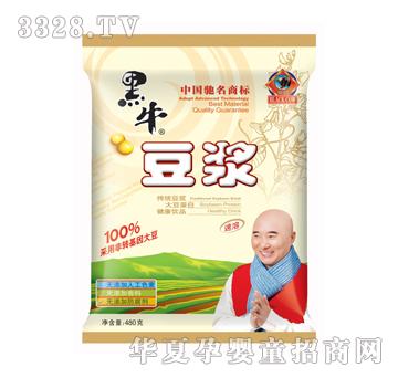ţ480g