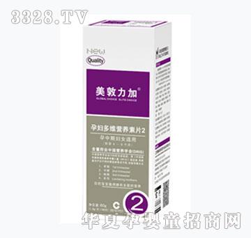 美敦力加叶酸多维营养素片2（60片）