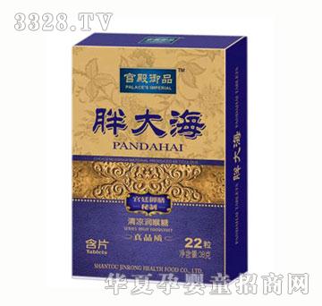 宫殿宴品胖大海清凉润喉糖38g