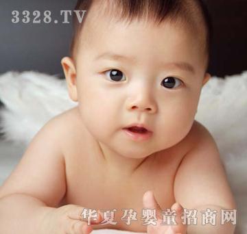 亲亲宝贝婴儿照