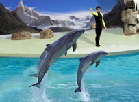 ��һ���������溣���Ҳ�ǲ�����ѡ��