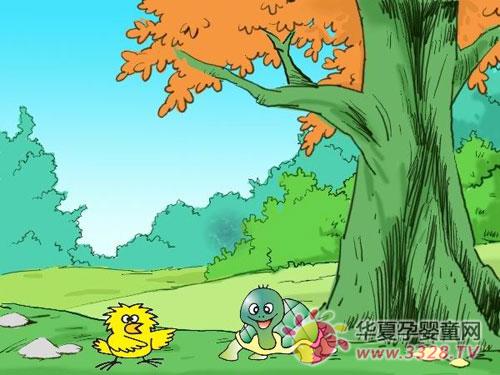 ��19�ܵ�̥�̹���