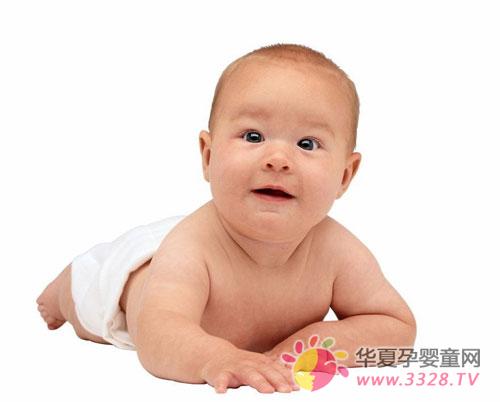 ����hib����Ĳ�����Ӧ