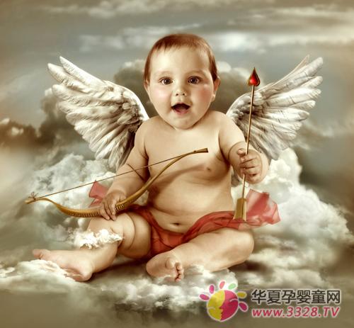 ���������Ͳ�Ԥ������