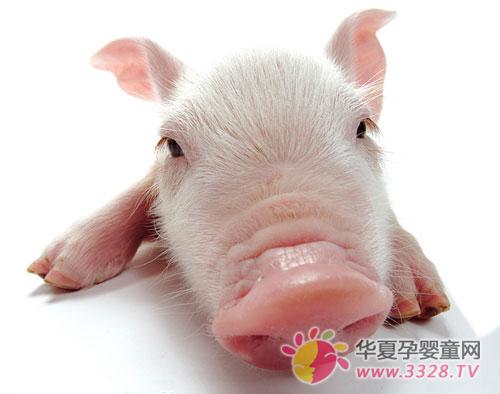 ����ר���̷������˽����