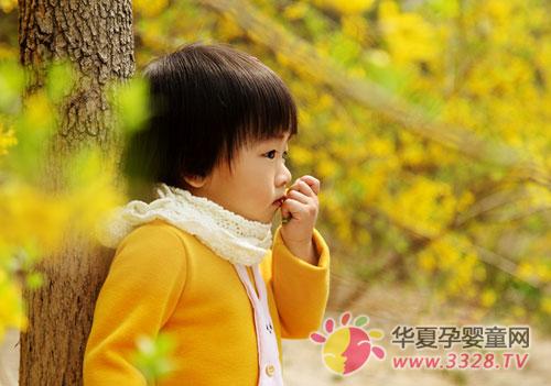 �����������軤�������У�