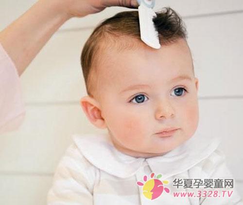 ������ͺ��������