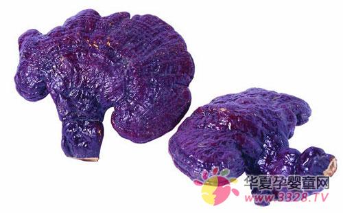 �и����Գ���֥��