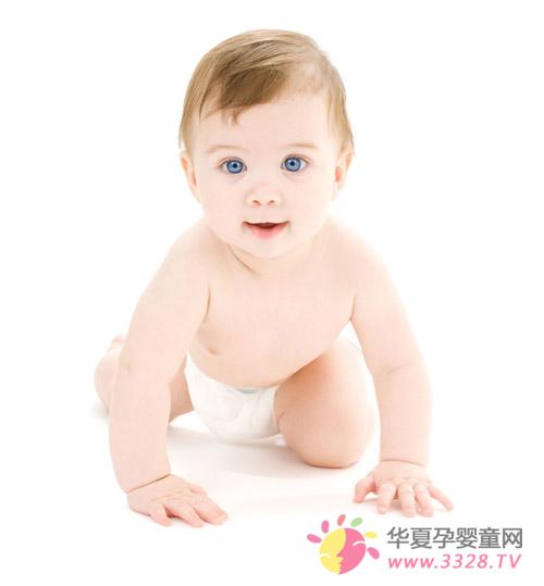 ������ֽ���ò��ã�ʲôƷ�Ƶ�ֽ������