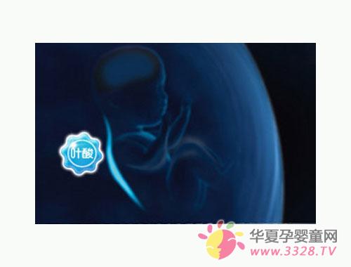 Ҷ�����Ҫ����ʲô��