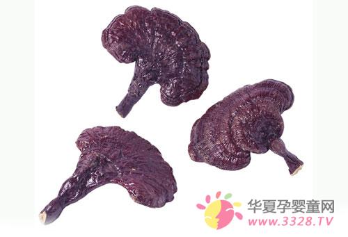 �и����Գ���֥��