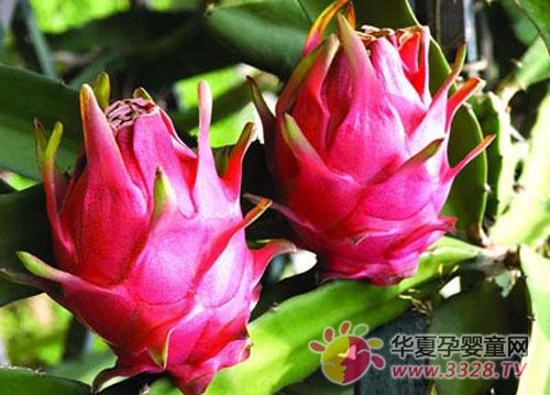 �����ܳԻ�������