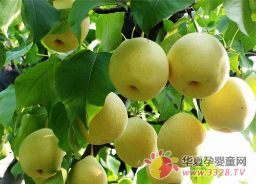 �и�Ӧ�ö��ʲôˮ��