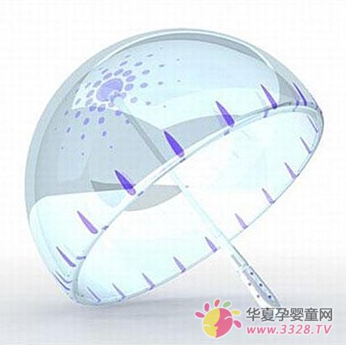 ̥��С����