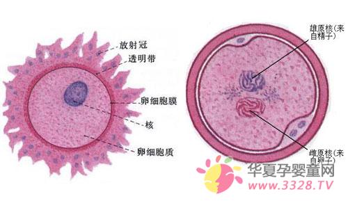 �����ܾ�������ͼ