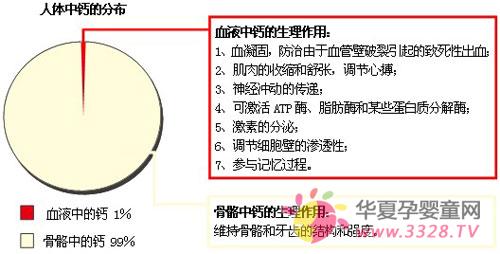 �Ƶ������������л