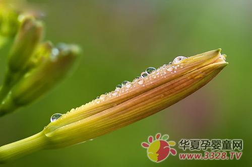 �и����ԳԻƻ�����