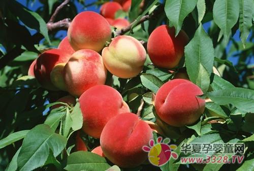 �и������Ӻ���