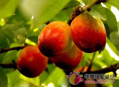 �����ܳ�������