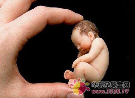 ����������������С��Ӥ��