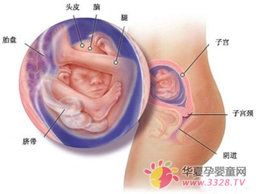 �����̥��ͼ