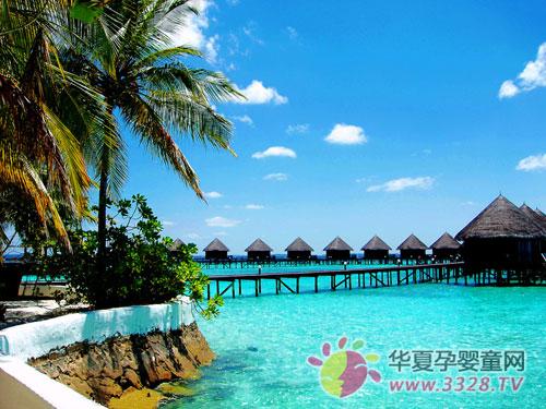 �������ξ����Ƽ�������������